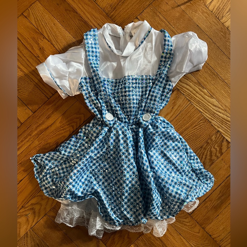 Dorothy Wizard Of Oz Costume Dress Small 3T